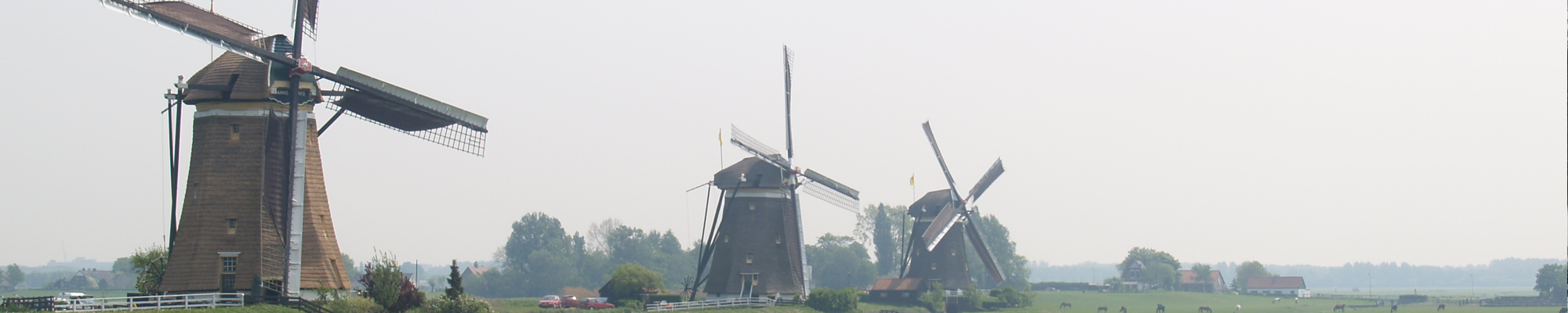 Gereformeerde Kerken Nederland