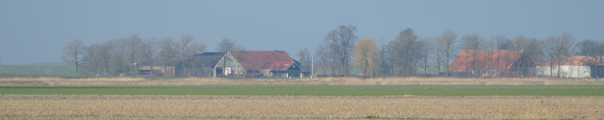 Gereformeerde Kerken Nederland