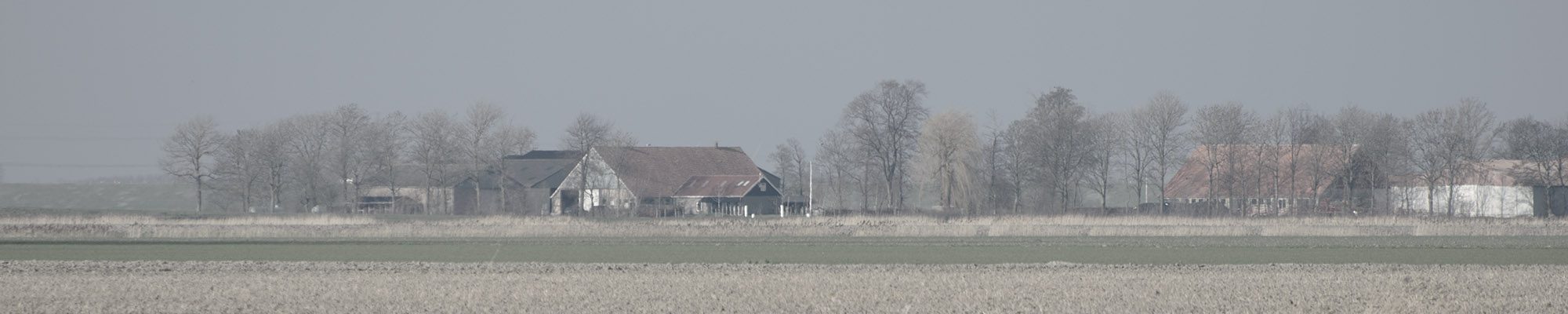 Gereformeerde Kerken Nederland