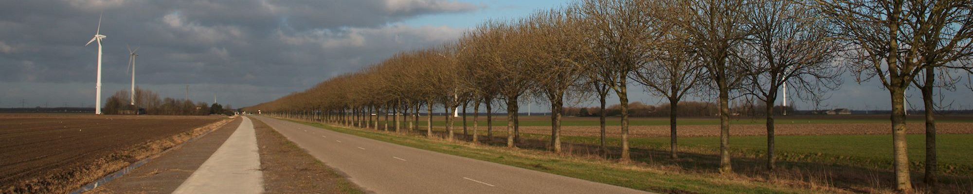 Gereformeerde Kerken Nederland