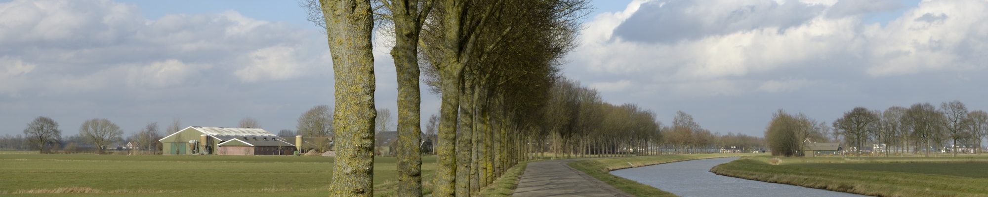 Gereformeerde Kerken Nederland